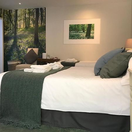 The Queen'S Head At Broad Chalke Hotel Eksteriør billede